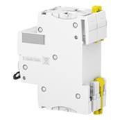 Disjoncteur modulaire 2P 1A Courbe D