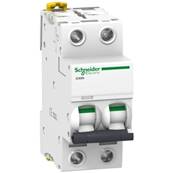 Disjoncteur modulaire 2P 1A Courbe D