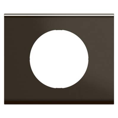 Plaque 1P Nickel Sombre Satine