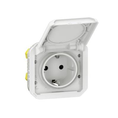 2P+T germ ba blanc compo