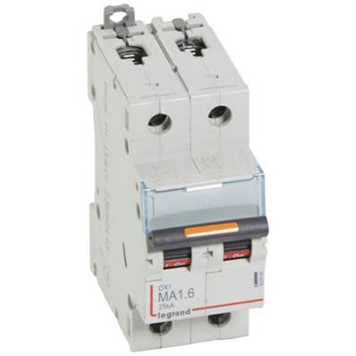 DX3 2P ma1.6 25ka