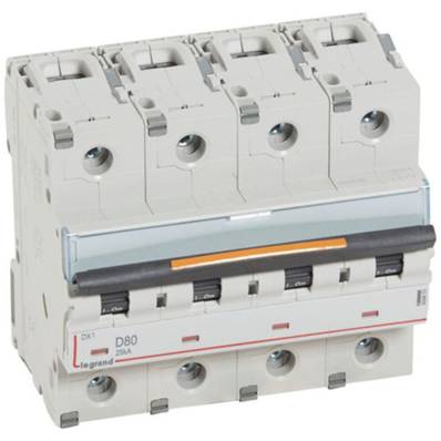 DX3 4P D80 25ka